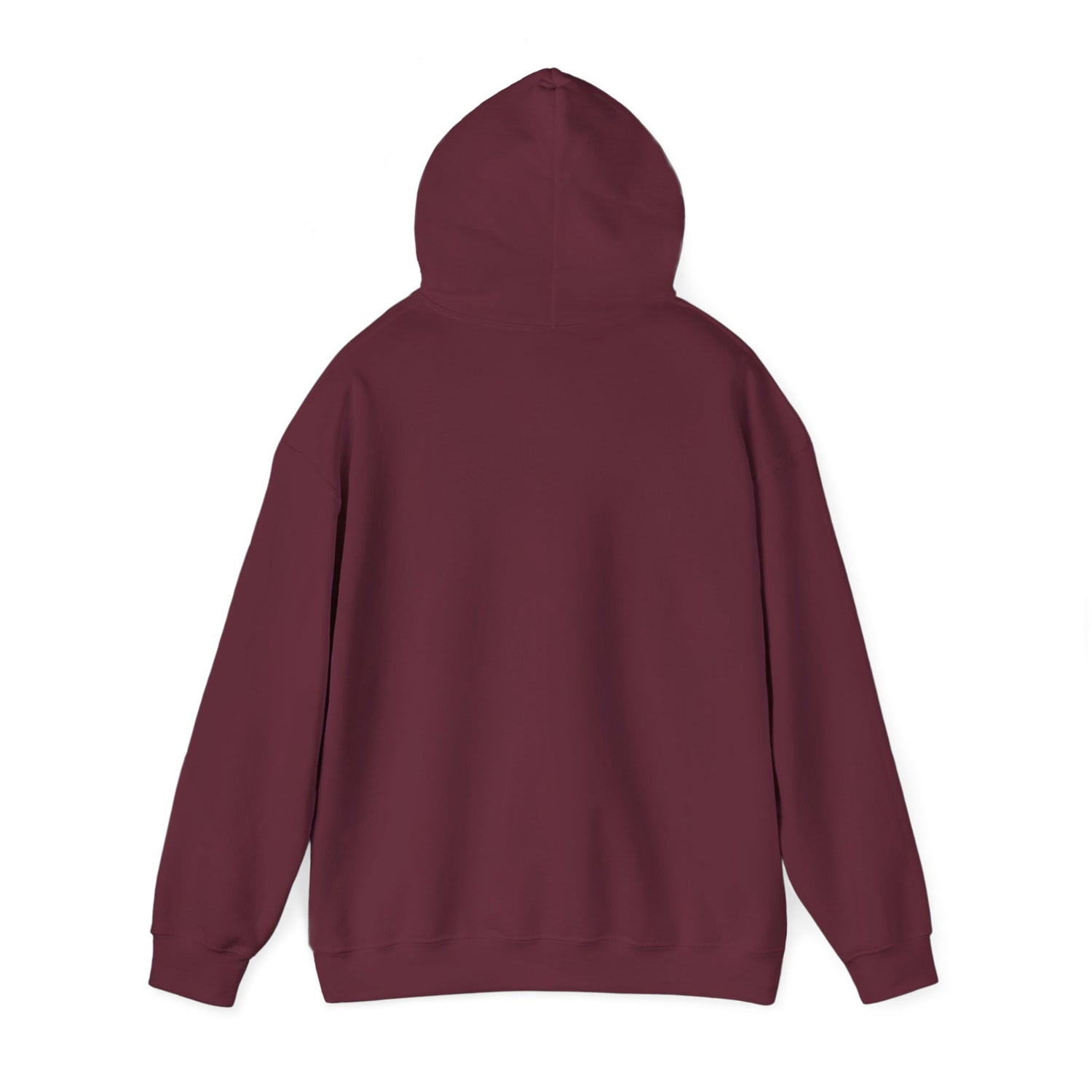 Funny Introvert Hoodie  
