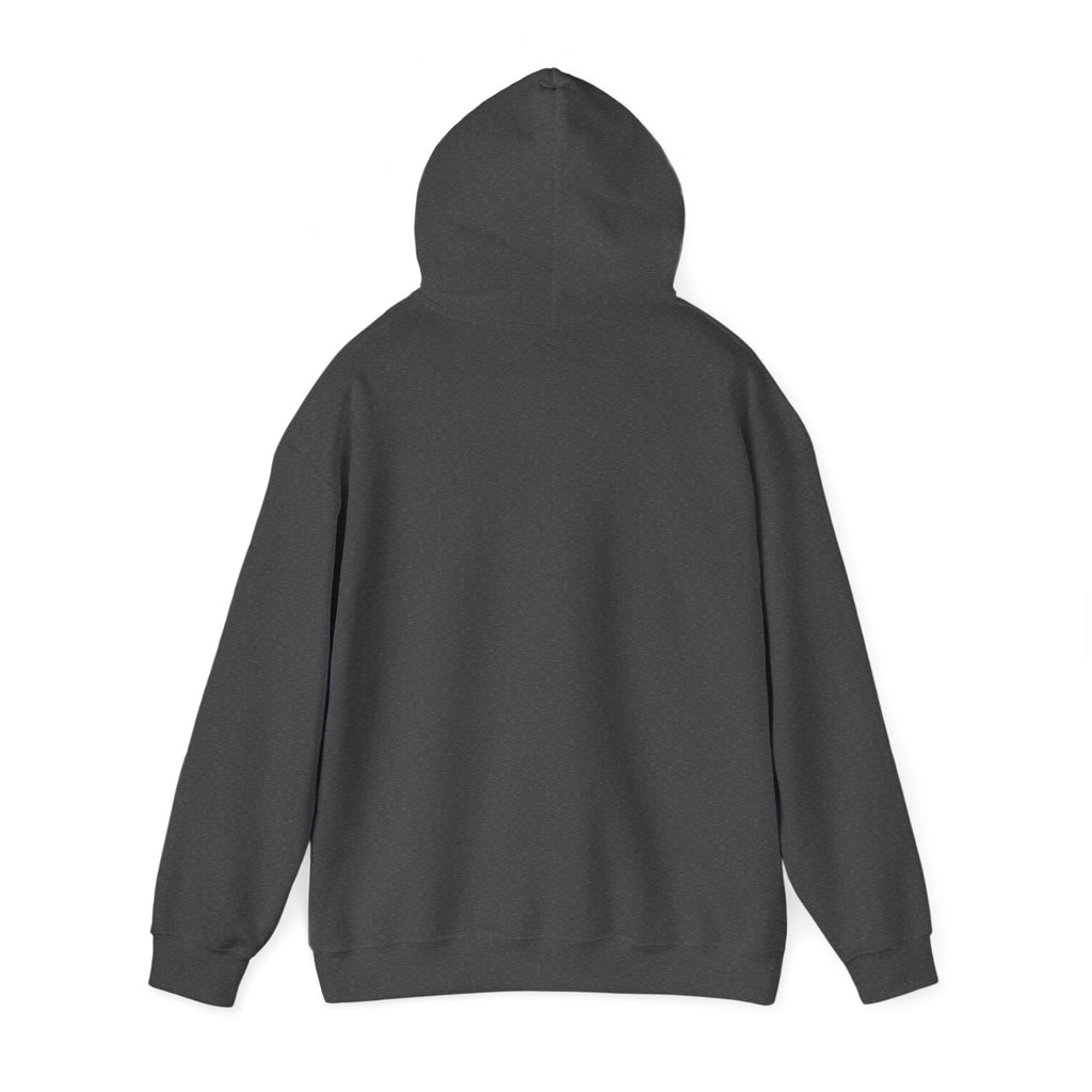 Funny Nap Hoodie | Certified Nap Technician