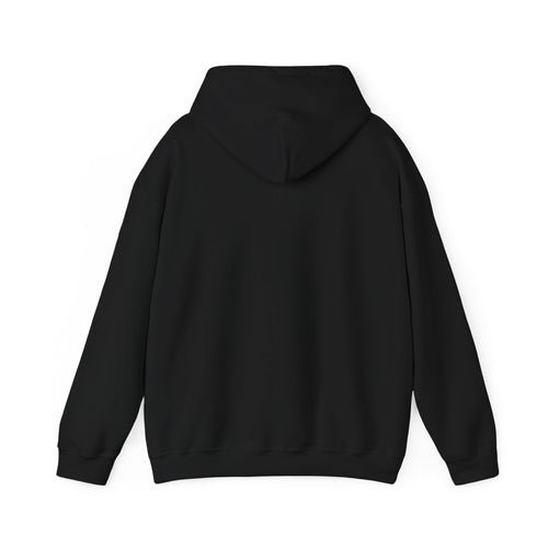 Funny Introvert Hoodie